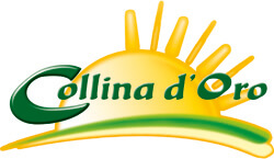 Collina d'Oro