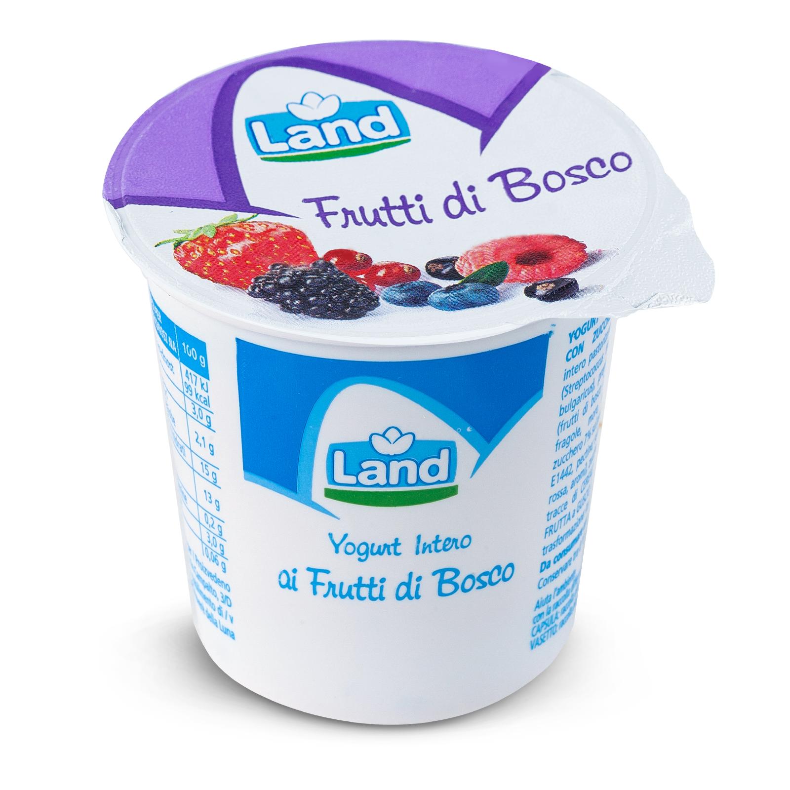 JOGURT ŠUMSKO VOĆE