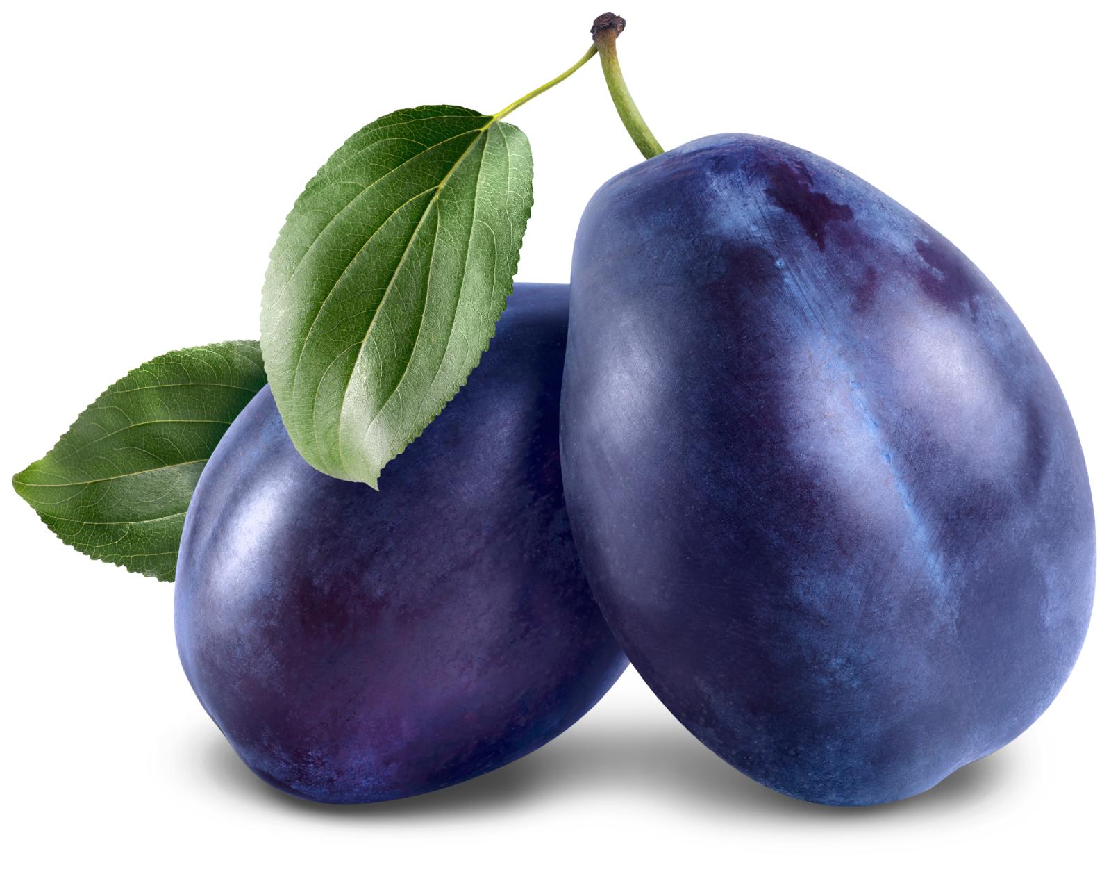 ŠLJIVA