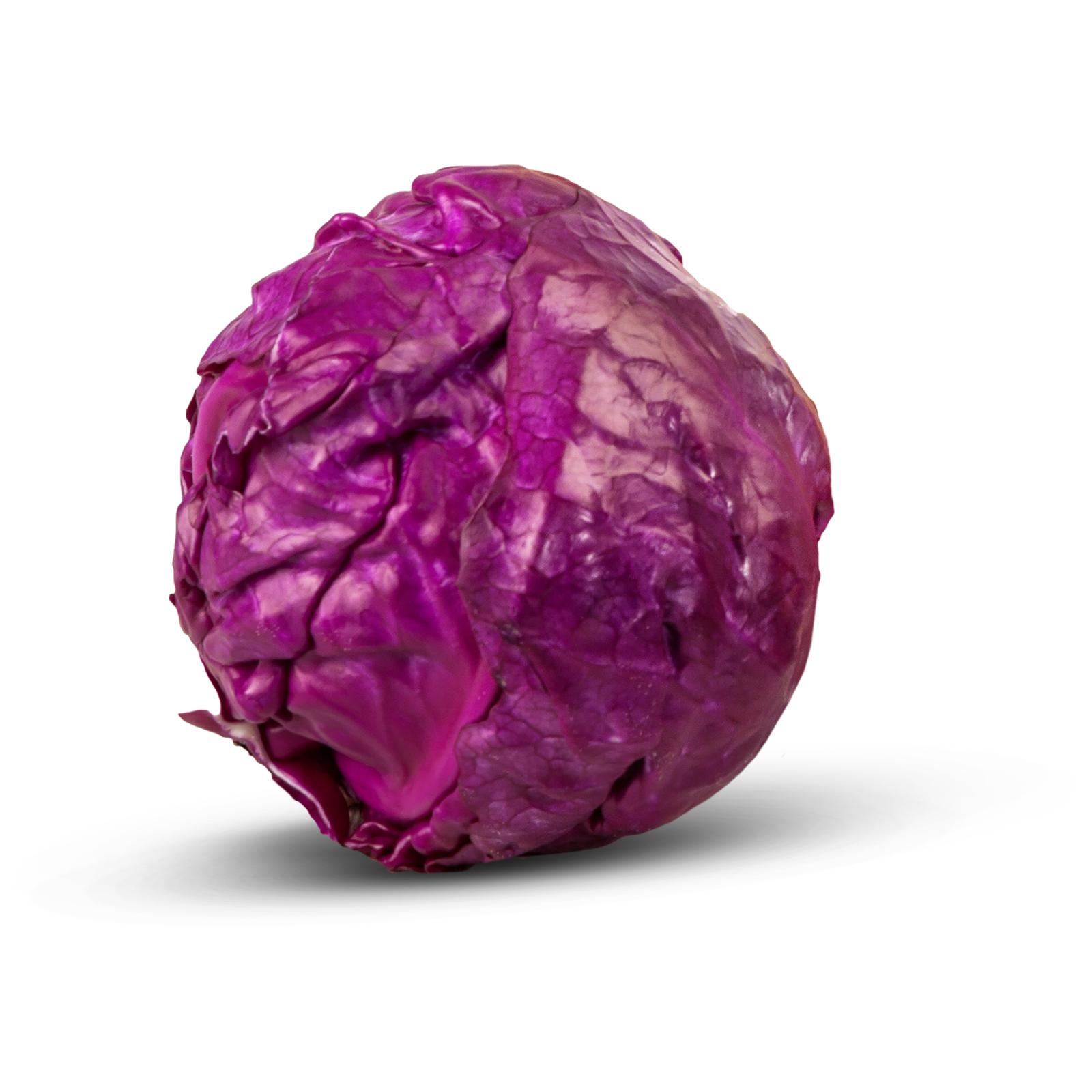 KUPUS CRVENI