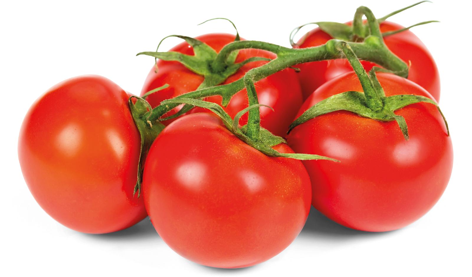 DOMAĆA RAJČICA GRAPPOLO